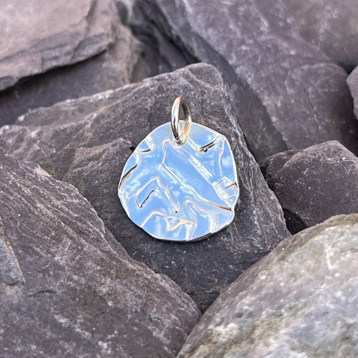 MOSS MEDALLION